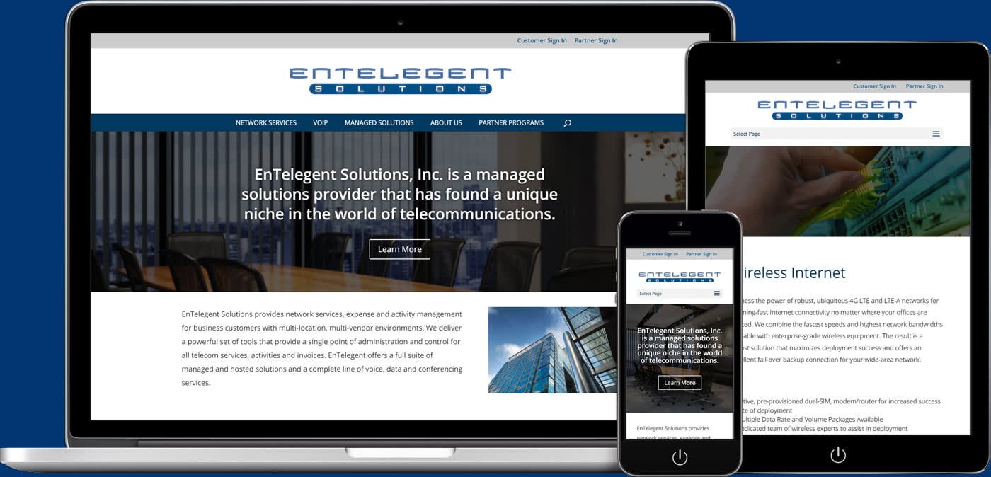Entelegent Solutions